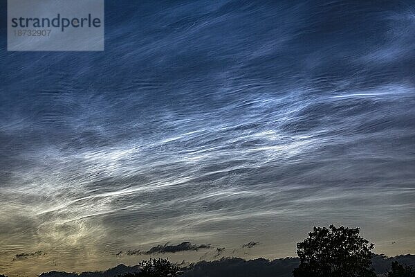 Leuchtenden Nachtwolken  Noctilucend Clouds  NLC am Nachthimmel  Berlin  Deutschland  Europa