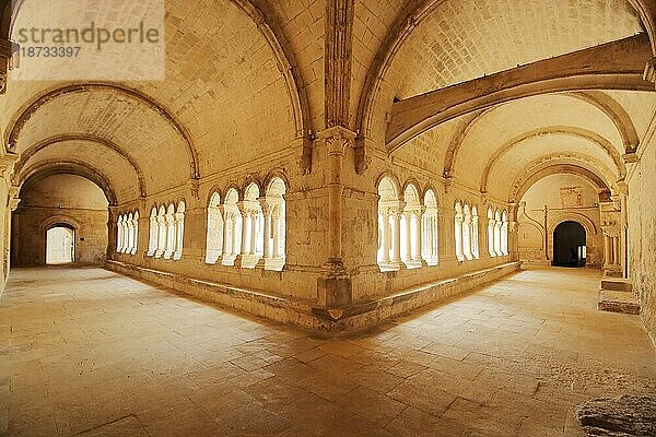 Kreuzgang der romanischen Klosteranlage Abbaye de Montmajour  Innenansicht  Säulen  Gänge  Gewölbe  Kloster  romanisch  Benediktinerkloster  Arles  Bouches-du-Rhône  Camargue  Provence  Frankreich  Europa