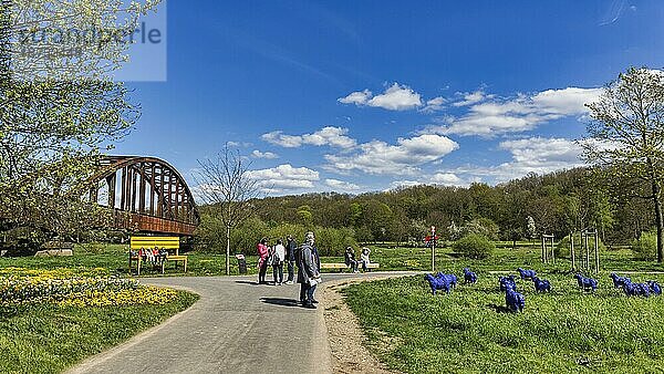 Blaue Schafe auf einer Wiese  Besucher auf der Landesgartenschau 2023  Höxter  Nordrhein-Westfalen  Deutschland  Europa