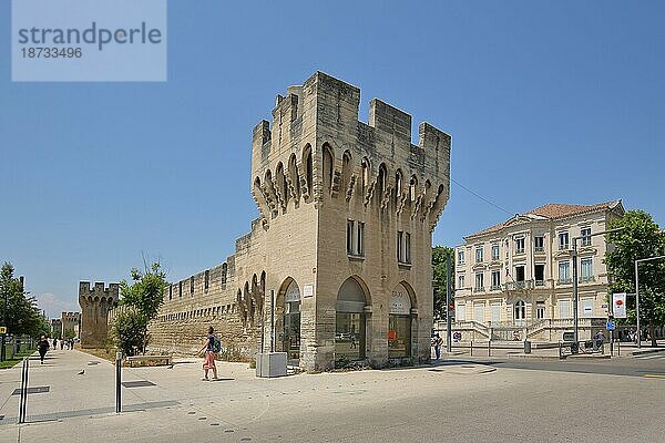 Historische Stadtmauer mit Wehrturm  Fußgänger  Gebäude  Remparts  Türme  Stadtbefestigung  Villa  Avignon  Vaucluse  Provence  Frankreich  Europa