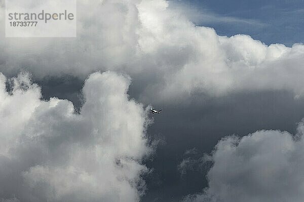 Passagierflugzeug in den Wolken  Montreal  Provinz Quebec  Kanada  Nordamerika