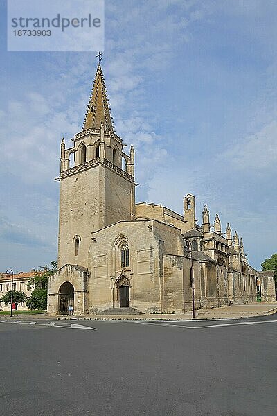 Romanische Collégiale royale Sainte-Marthe Stiftskirche  Kathedrale  Ste  Kirche  Tarascon  Bouches-du-Rhône  Provence  Frankreich  Europa