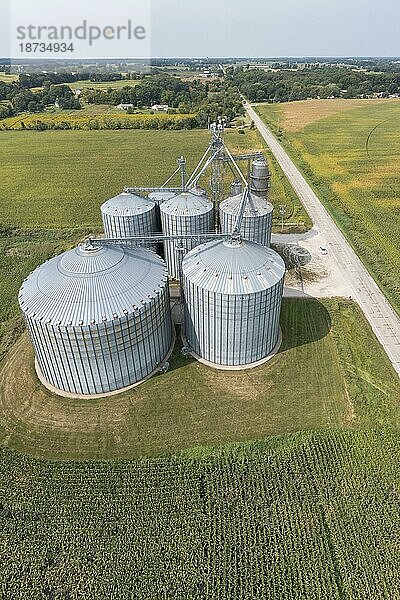 Martin  Michigan  Ein Getreidesilokomplex  umgeben von Maisfeldern im Westen Michigans