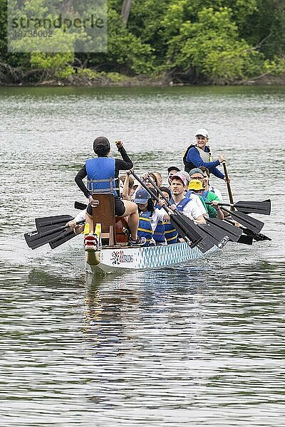 Washington  DC  Das DC Drachenbootfestival auf dem Potomac River. Das Drachenbootfahren ist eine 2300 Jahre alte chinesische Tradition. Das Festival in Washington findet seit 20 Jahren statt