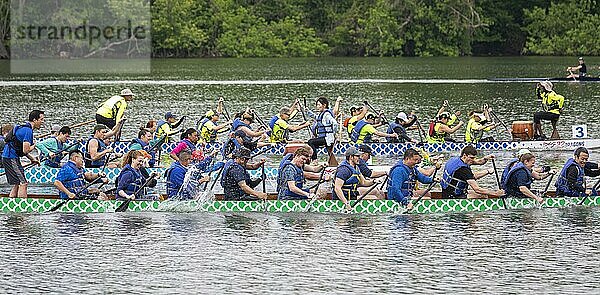 Washington  DC  Das DC Drachenbootfestival auf dem Potomac River. Das Drachenbootfahren ist eine 2300 Jahre alte chinesische Tradition. Das Festival in Washington findet seit 20 Jahren statt