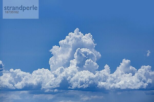 Sommerhimmel mit Cumuluswolken  Provence  Südfrankreich  Frankreich  Europa