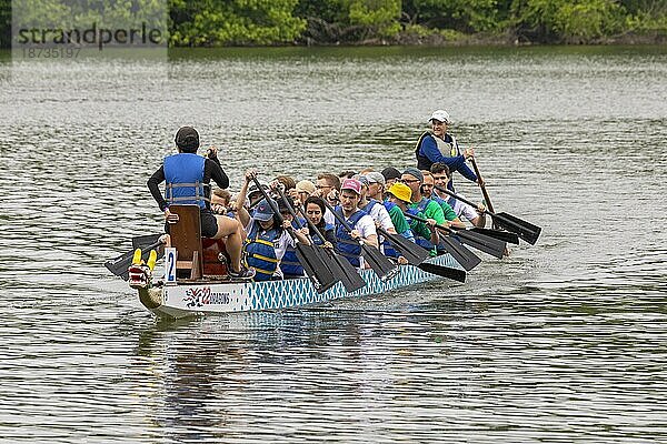 Washington  DC  Das DC Drachenbootfestival auf dem Potomac River. Das Drachenbootfahren ist eine 2300 Jahre alte chinesische Tradition. Das Festival in Washington findet seit 20 Jahren statt