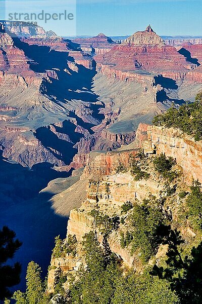 Blick auf den Grand Canyon  Arizona  USA  Nordamerika