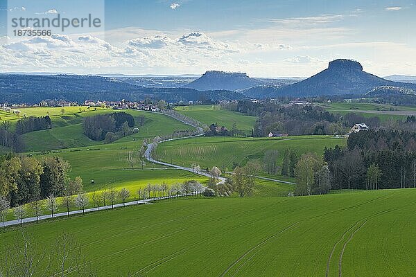 Frühling in der Sächsischen Schweiz am Adamsberg mit Blick auf Lilienstein und Festung Königstein  Elbsandsteingebirge  Sachsen  Deutschland  Europa
