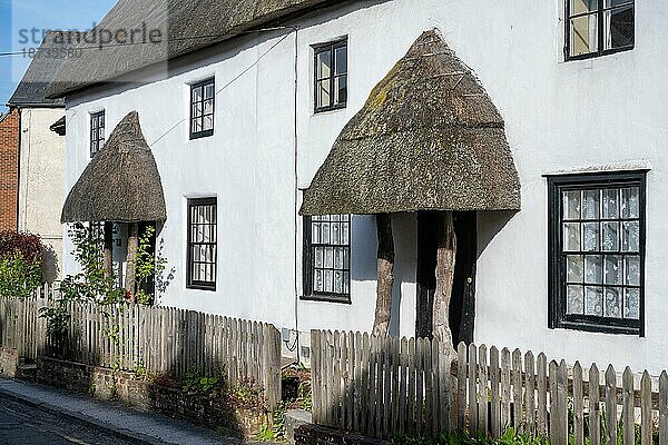 Traditionell gebaute  englische Reihenhäuser mit Reetdächern  Salisbury  Wiltshire  England  Großbritannien  Europa