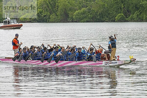 Washington  DC  Das DC Drachenbootfestival auf dem Potomac River. Das Drachenbootfahren ist eine 2300 Jahre alte chinesische Tradition. Das Festival in Washington findet seit 20 Jahren statt