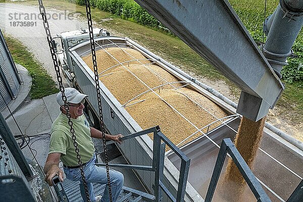 Martin  Michigan  Ein LKWfährer lädt Mais aus einem Getreidesilo im Westen Michigans