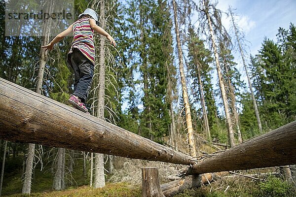 Kind balanciert auf Baumstamm  Skurugata Naturreservat  bei Eksjö  Jönköpings län  Schweden  Europa