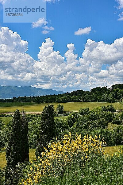 Blick auf die Berge des Naturpark Luberon  in der Provence  in der Region Provence-Alpes-Côte d'Azur  im Département Alpes-de-Hauter-Provence  Frankreich  Europa