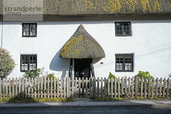 Traditionell gebautes  englisches Reihenhaus mit Reetdächern  Salisbury  Wiltshire  England  Großbritannien  Europa