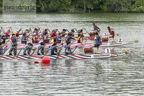 Washington  DC  Start eines 200 Meter Rennens während des DC Dragon Boat Festivals auf dem Potomac River. Das Drachenbootfahren ist eine 2300 Jahre alte chinesische Tradition. Das Festival in Washington findet seit 20 Jahren statt