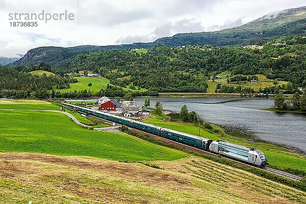 Zug der Bergenbahn bei Seimsgrend  Norwegen  Europa