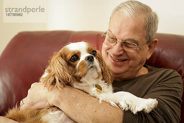 Älterer Mann hält Cavalier King Charles Spaniel zu Hause