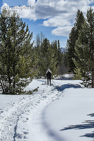 USA  Idaho  Sun Valley  Seniorin wandert im verschneiten Wald
