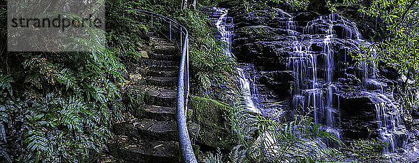 Australien  NSW  Wentworth Falls  Treppen und Wasserfall im Wald im Blue Mountains National Park