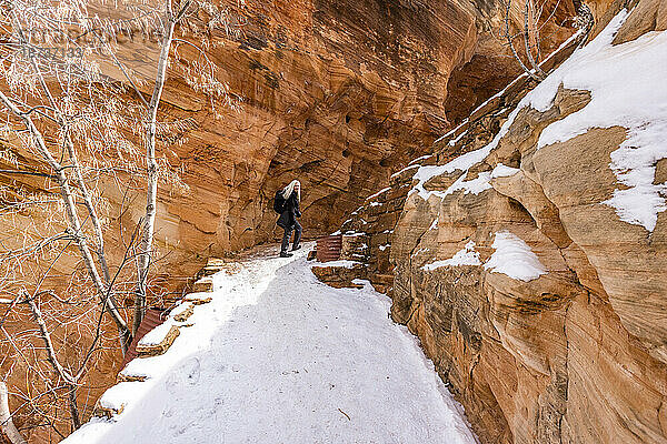 USA  Utah  Springdale  Zion-Nationalpark  Seniorin wandert im Winter in den Bergen
