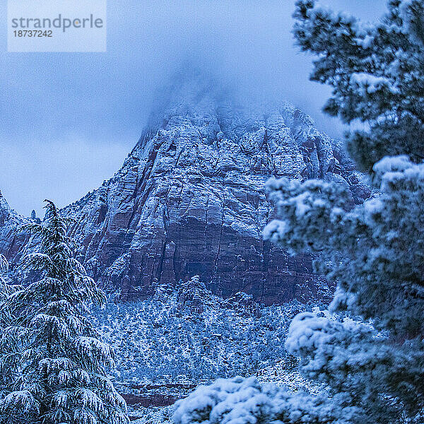 USA  Utah  Springdale  Zion-Nationalpark  malerische Aussicht auf schneebedeckte Berge