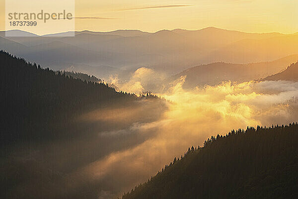 Ukraine  Region Iwano-Frankiwsk  Bezirk Werchowyna  Dorf Dsembronja  neblige Karpatenlandschaft bei Sonnenuntergang