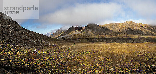 Neuseeland  Waikato  Tongariro-Nationalpark  Vulkanlandschaft