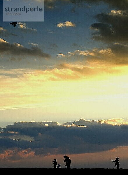 Kinder mit Vater beim Drachenfliegen kurz vor Sonnenuntergang im Nürnberger Knoblauchsland