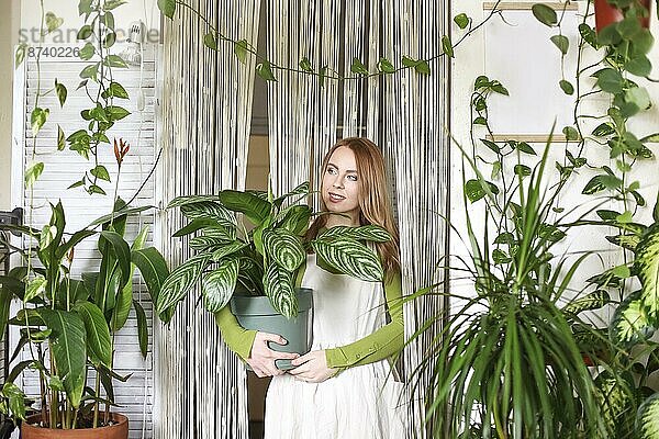 Zufriedene Frau in weißer Schürze  die einen Topf mit einer grünen Pflanze trägt und in die Kamera schaut  während sie in einem Geschäft arbeitet