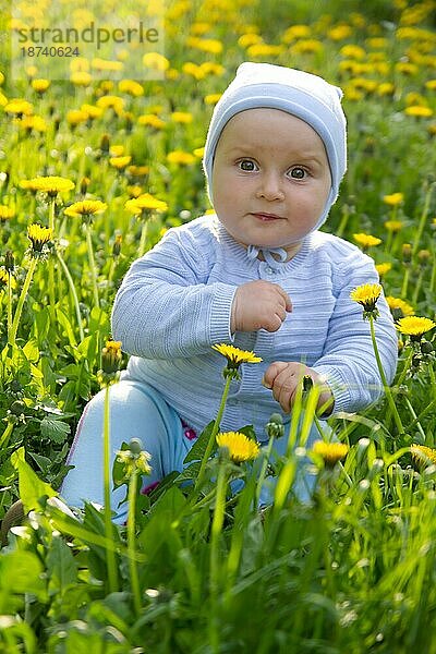 Kleiner Junge Kleinkind sitzt auf dem Gras