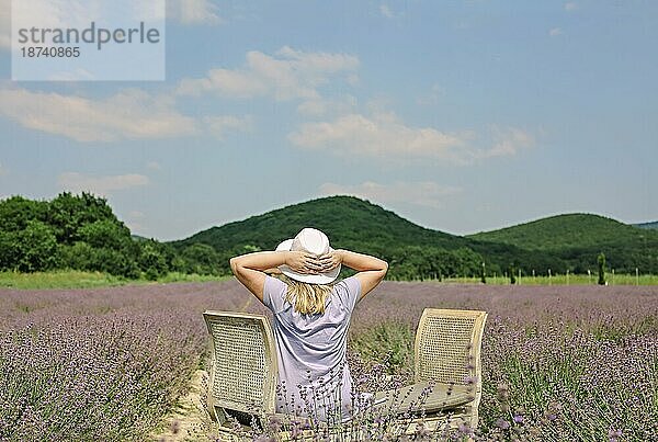 Rückansicht einer Frau in Kleid und weißem Hut  die inmitten eines Lavendelfeldes sitzt  sich auf einem Holzstuhl ausruht und die malerische Aussicht genießt  grüne Hügel im Hintergrund. Erholung Konzept