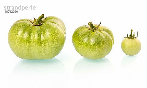 Drei grüne Tomaten Gemüse vor weißem Hintergrund