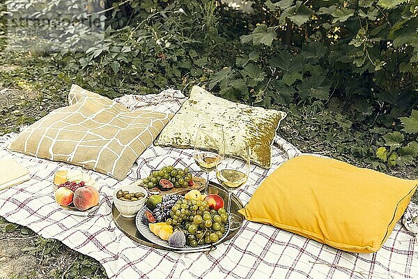 Paar Gläser mit Wein in der Nähe von Tischen mit verschiedenen frischen reifen Früchten auf Decke mit Kissen während romantisches Picknick im Garten platziert