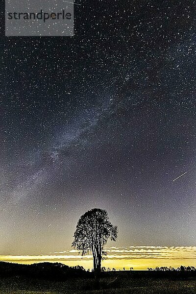 Astrofotografie  Sternefotografie: Milchstraße über einem Baum  Schwäbische Alb  Heroldstatt  Baden-Württemberg  Deutschland  Europa