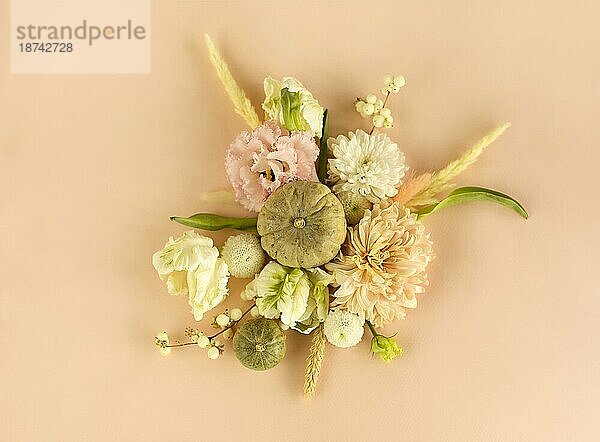 Draufsicht auf organische frische Blumen in schöner Komposition mit Kürbis auf beigefarbenem Hintergrund angeordnet