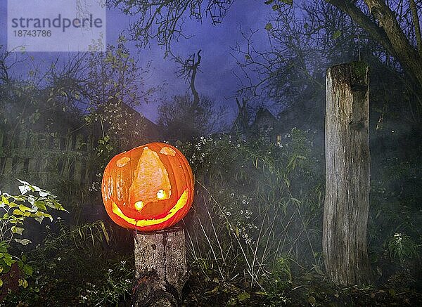 Halloween  illuminierter Kürbis in einem Garten am Abend  Stuttgart  Baden-Württemberg  Deutschland  Europa