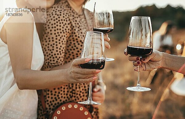 Crop anonyme weibliche Freunde Toast mit Gläsern von Rotwein während der Outdoor Party im Sommer Abend auf dem Lande