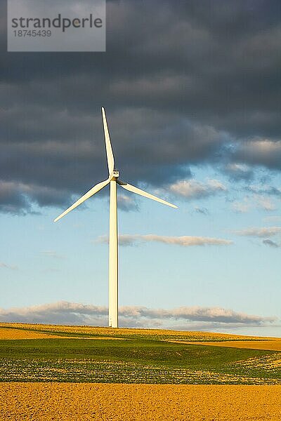 Alternative Energie mit Windkraft drei Windradsilhouetten im Sonnenuntergang