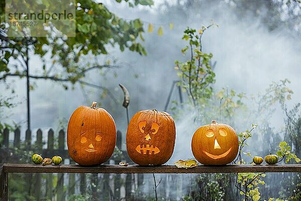 Halloween  schaurig-schöne Halloween Kürbisse  Münsingen  Baden-Württemberg  Deutschland  Europa