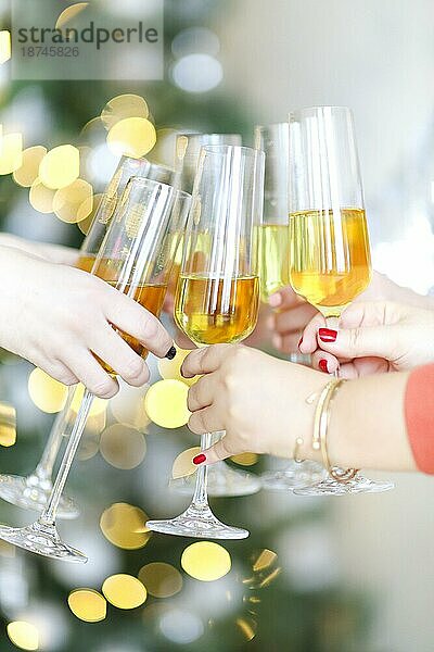 Weibliche Freunde stoßen mit Gläsern Wein an und haben Spaß auf einer Luxusparty