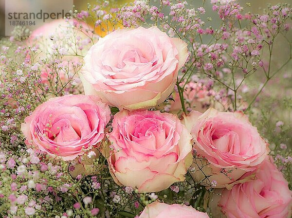 Blumendeko mit rosa Rosen Weichzeichner