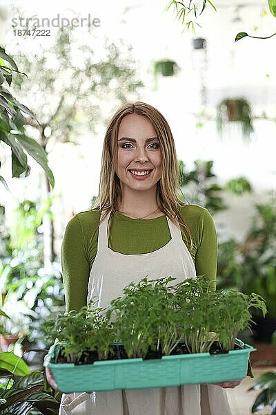 Fröhliche Frau in Schürze trägt ein Tablett mit Töpfen mit grünen Tomatenpflanzen im Garten und schaut in die Kamera