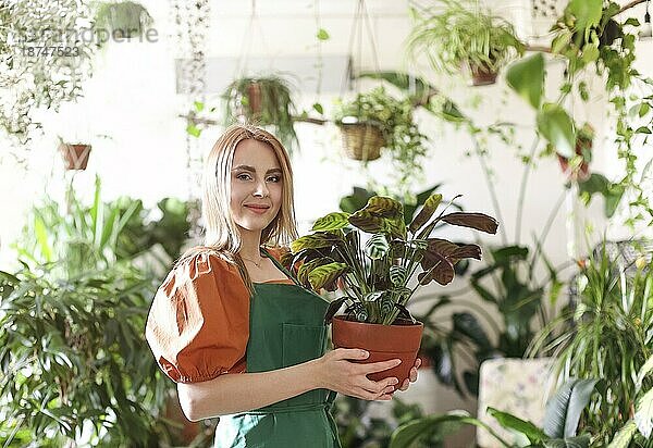 Ruhige Frau in grüner Schürze  die sich um Blumen in Töpfen kümmert  während sie in einem Blumenladen arbeitet