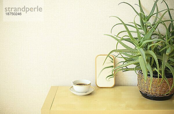 Häusliches Foto von Kommode mit getöpferter Aloe Vera Zimmerpflanze  Tasse Tee und kleinem Spiegel vor hellbeiger Wand mit Kopierraum für Text. Wohndekoration und Grün im Innenarchitektur Konzept