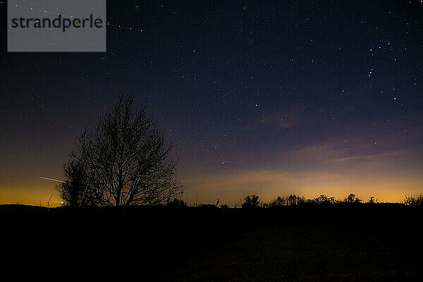 Baumsilhouette und Himmel mit Sternen nach Sonnenuntergang