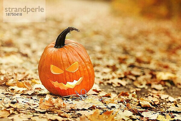 Jack o Lantern Dekoration aus einem kleinen Kürbis  der während des Halloween Festes auf verwelkte gelbe Blätter gestellt wird