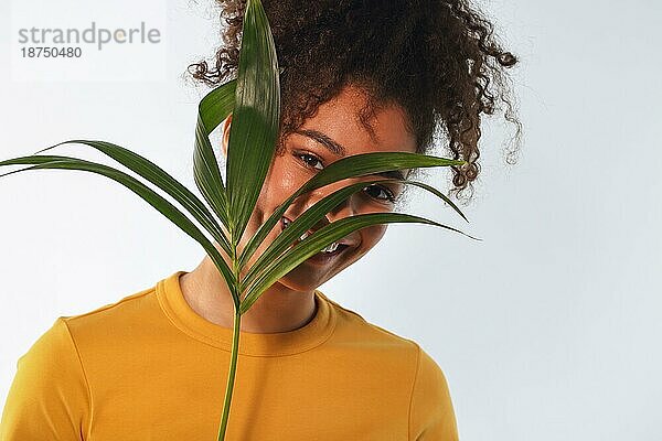 Junge glückliche fröhliche afrikanische amerikanische Frau mit hoher Puff Frisur hält tropische Pflanze in der Nähe von Gesicht und lächelnd  entzückende schwarze Mädchen mit grünen Palmzweig vorhellem Hintergrund