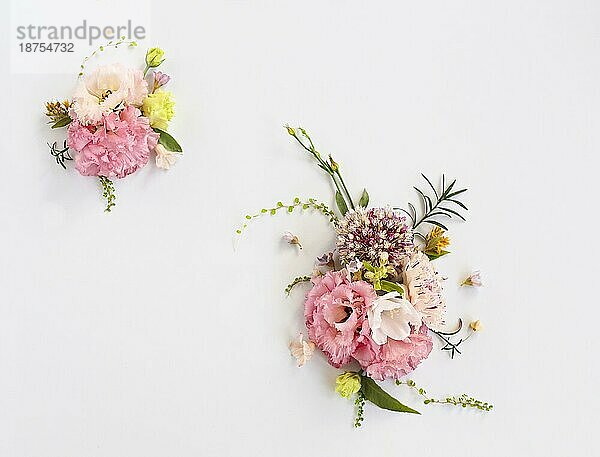 Draufsicht auf organische frische Blumen in schönen Kompositionen auf weißem Hintergrund angeordnet