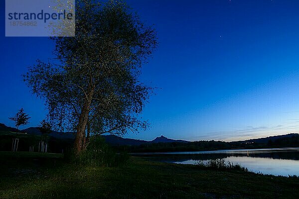 Baum und Bergsilhouetten bei Nacht am Grüntensee